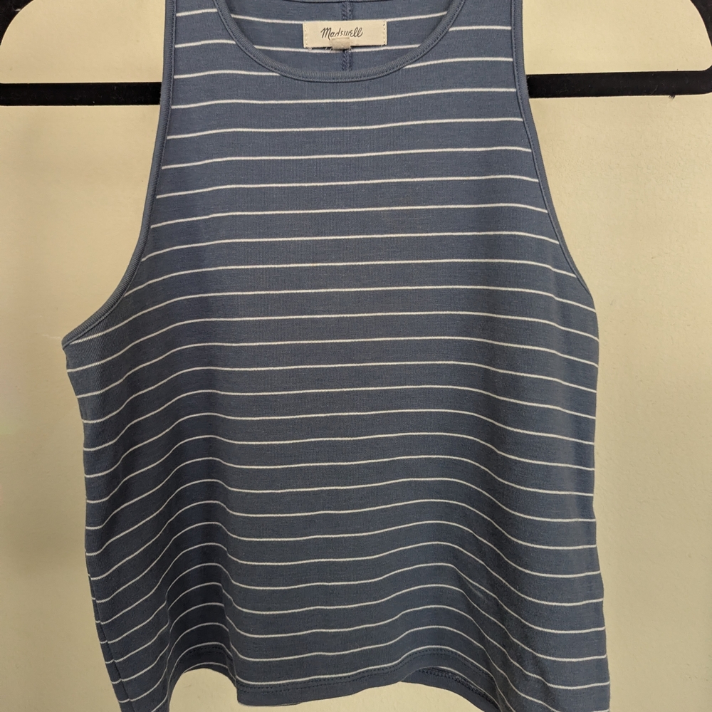 Madewell Blue and White Striped Tank Top